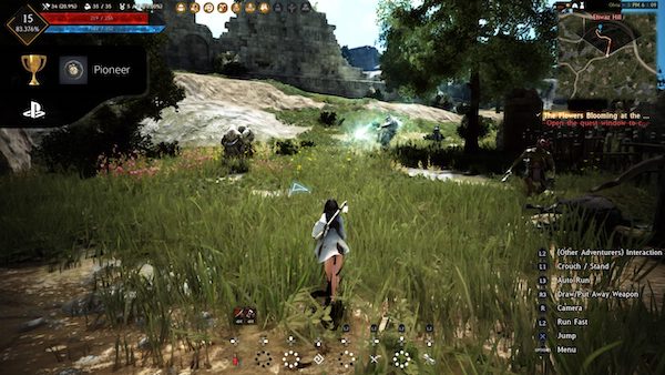 screenshot of Black Desert