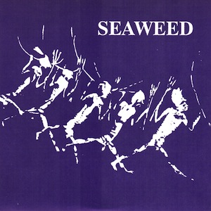 icon for Seaweed - Inside