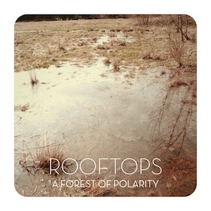 icon for Rooftops - A Forest of Polarity