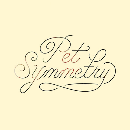 icon for Pet Symmetry - Vision