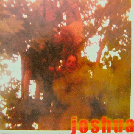 icon for Joshua - Your World Is Over