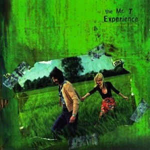 icon for The Mr. T Experience - Our Bodies Our Selves
