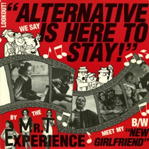 icon for The Mr. T Experience - Alternative is Here To Stay