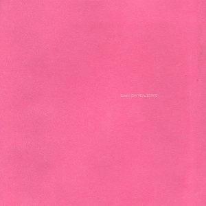 icon for Sunny Day Real Estate - Sunny Day Real Estate