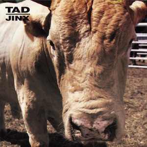 icon for Tad - Jinx