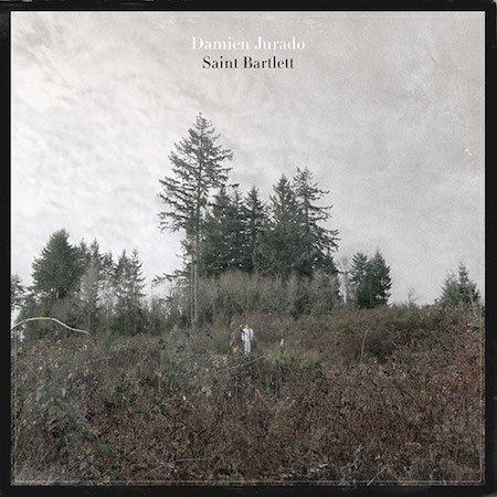 icon for Damien Jurado - Saint Bartlett