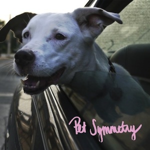 icon for Pet Symmetry - Two Songs About Cars. Two Songs with Long Titles.