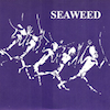 icon for Seaweed - Inside