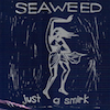 icon for Seaweed - Just A Smirk