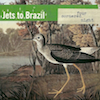 icon for Jets To Brazil - Four Cornered Night