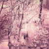 icon for Esben And The Witch - Violet Cries
