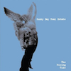 icon for Sunny Day Real Estate - The Rising Tide
