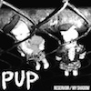 icon for Pup - Reservoir / My Shadow