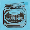 icon for Nirvana - A Tribute To The Vaselines