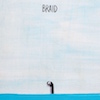 icon for Braid - Kids Get Grids