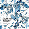 icon for Secret Stuff - This Is Fine