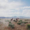 icon for We Set Sail - Feel Nothing