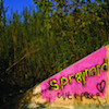 icon for Spraynard - Cut And Paste