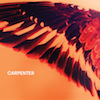 icon for Carpenter - Sea To Sky