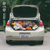 icon for Sincere Engineer - Bless My Psyche
