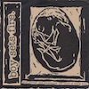 icon for Boy Sets Fire - This Crying, This Screaming, My Voice Is Being Born