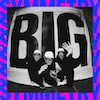 icon for Pet Symmetry - Big Symmetry