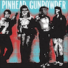 icon for Pinhead Gunpowder - Kick Over The Traces
