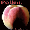 icon for Pollen - Peach Tree