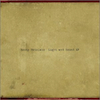 icon for Rocky Votolato - Light and the Sound