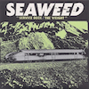 icon for Seaweed - Service Deck