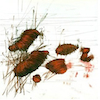 icon for Madraso - Van Horne