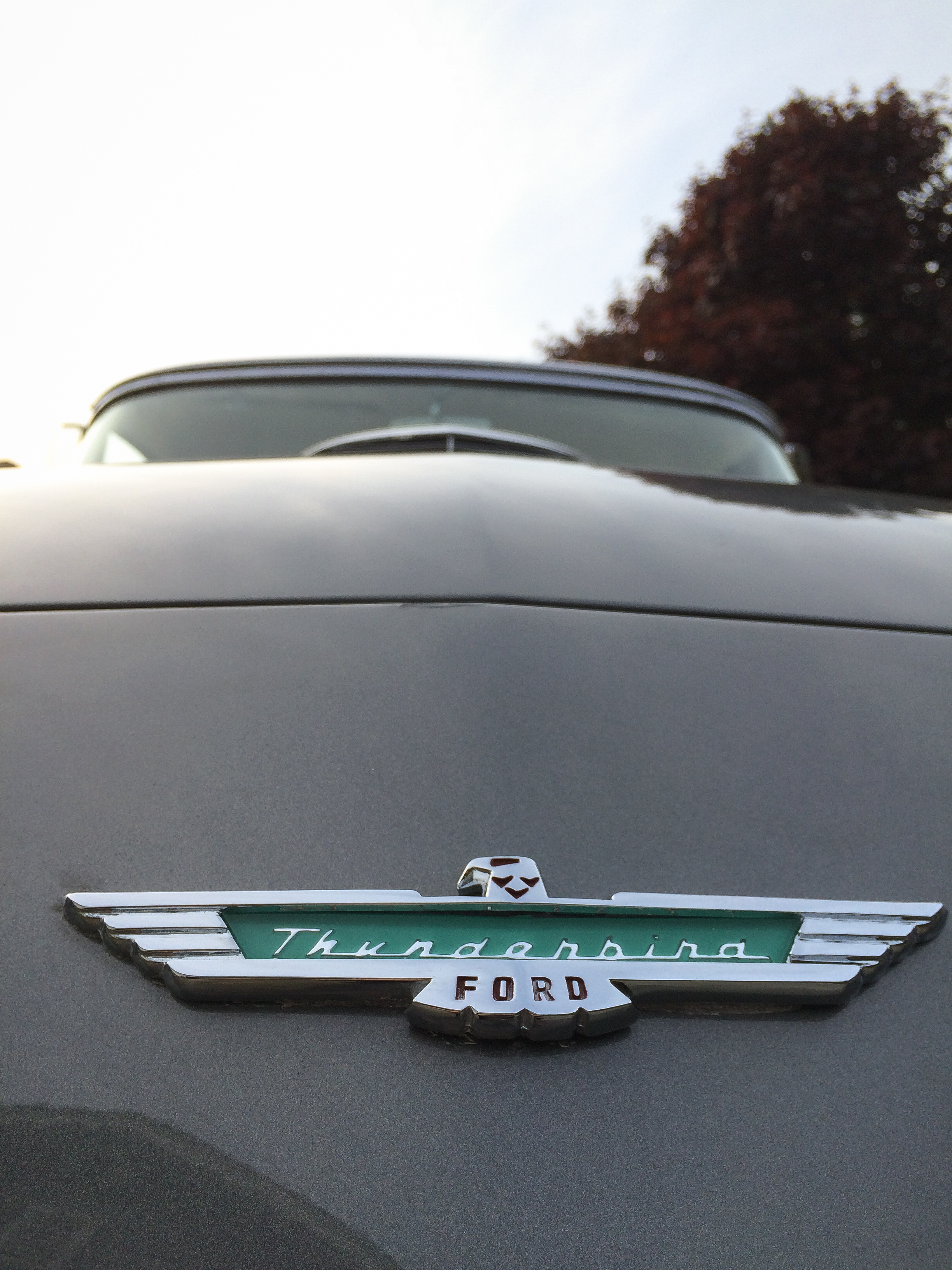 My mom's Thunderbird. That blue emblem on the gray is the best.<br />Lens: iPhone 5s back camera 4.15mm f/2.2