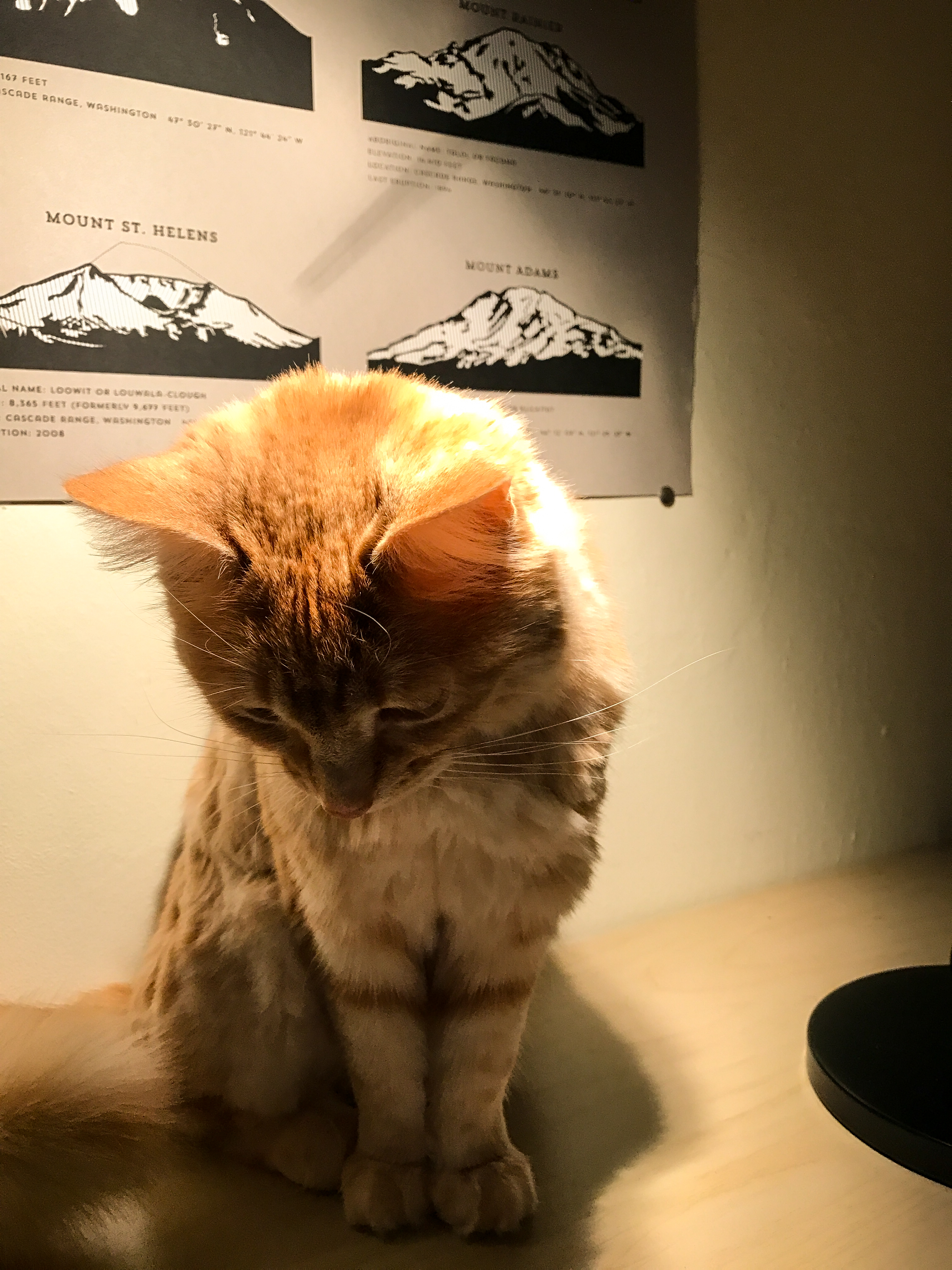 <br />03/04/2017 @ 22:46<br />Camera: iPhone 7<br />Lens: iPhone 7 back camera 3.99mm f/1.8
