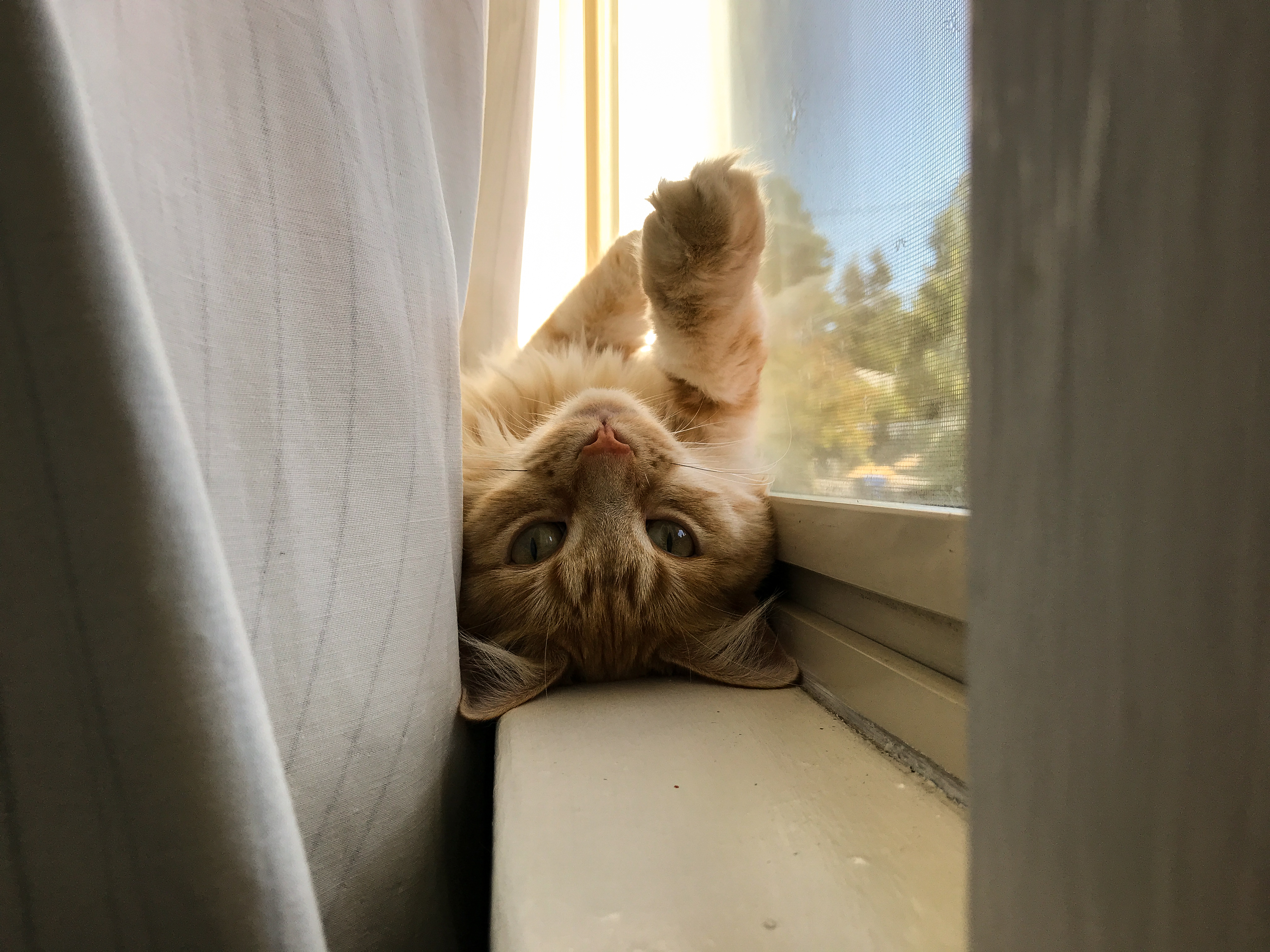 <br />07/25/2018 @ 09:57<br />Camera: iPhone 7<br />Lens: iPhone 7 back camera 3.99mm f/1.8
