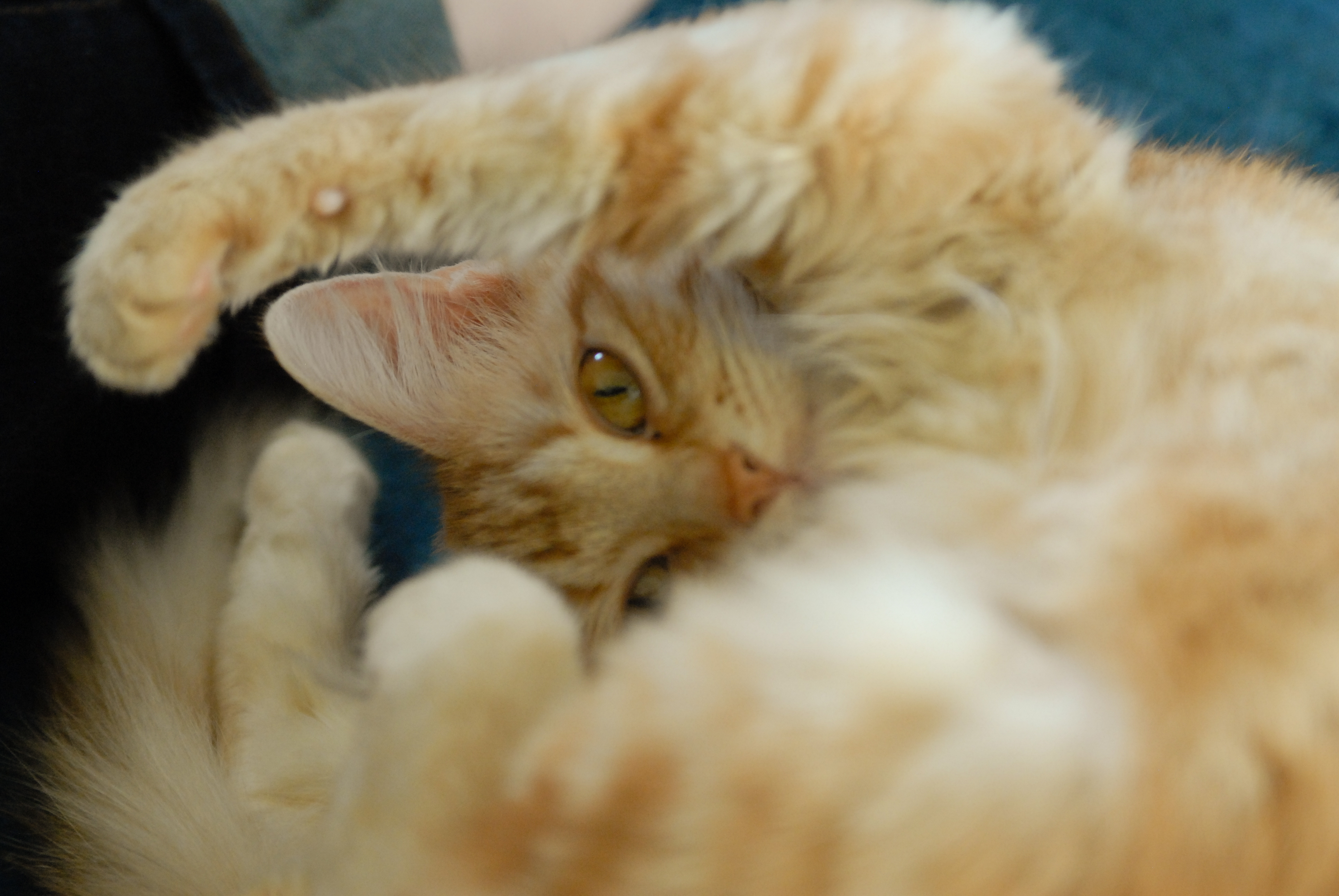 <br />04/08/2015 @ 18:14<br />Camera: NIKON D200<br />Lens: 28.0-75.0 mm f/2.8
