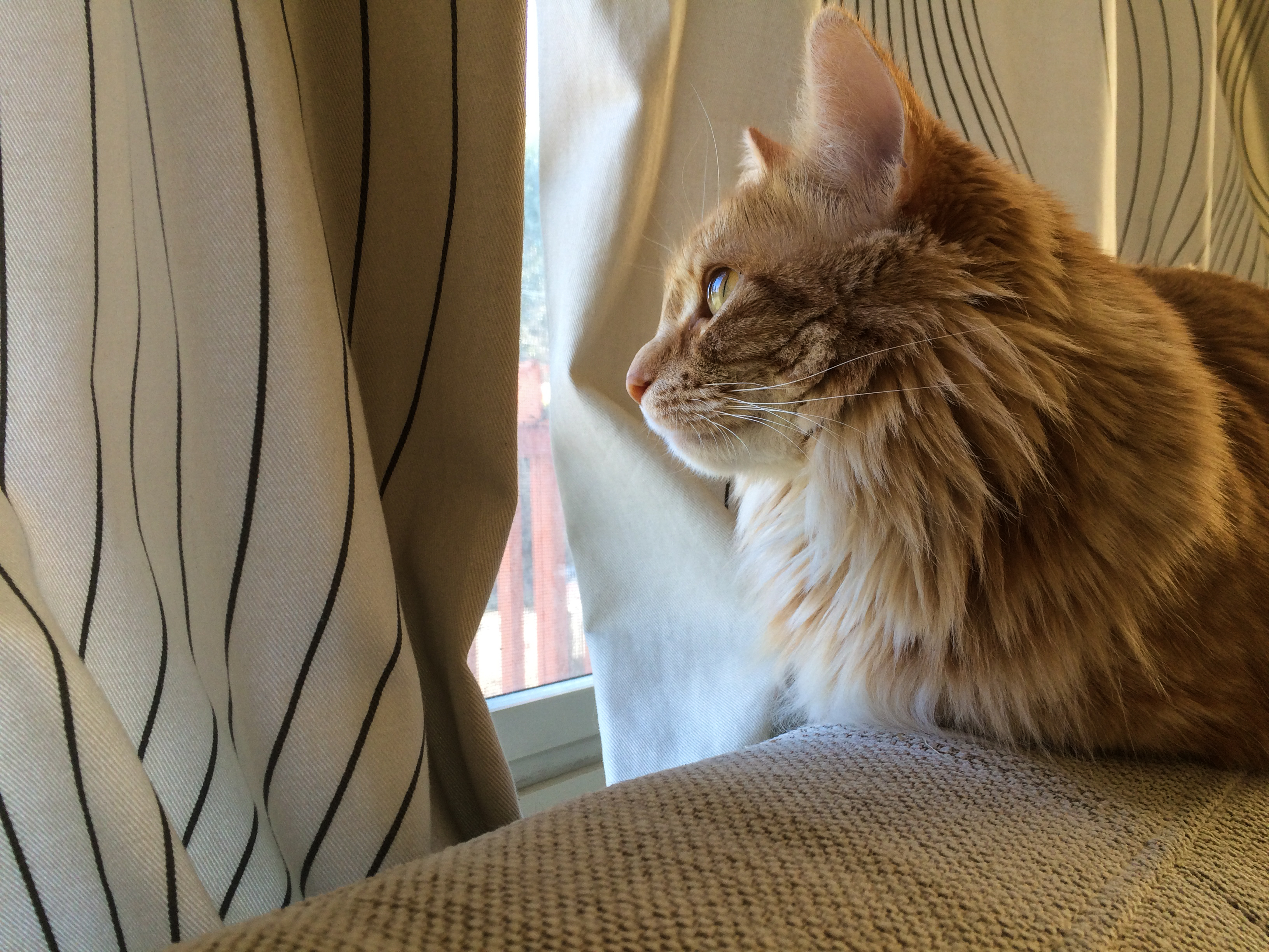 <br />01/02/2016 @ 12:03<br />Camera: iPhone 5s<br />Lens: iPhone 5s back camera 4.15mm f/2.2