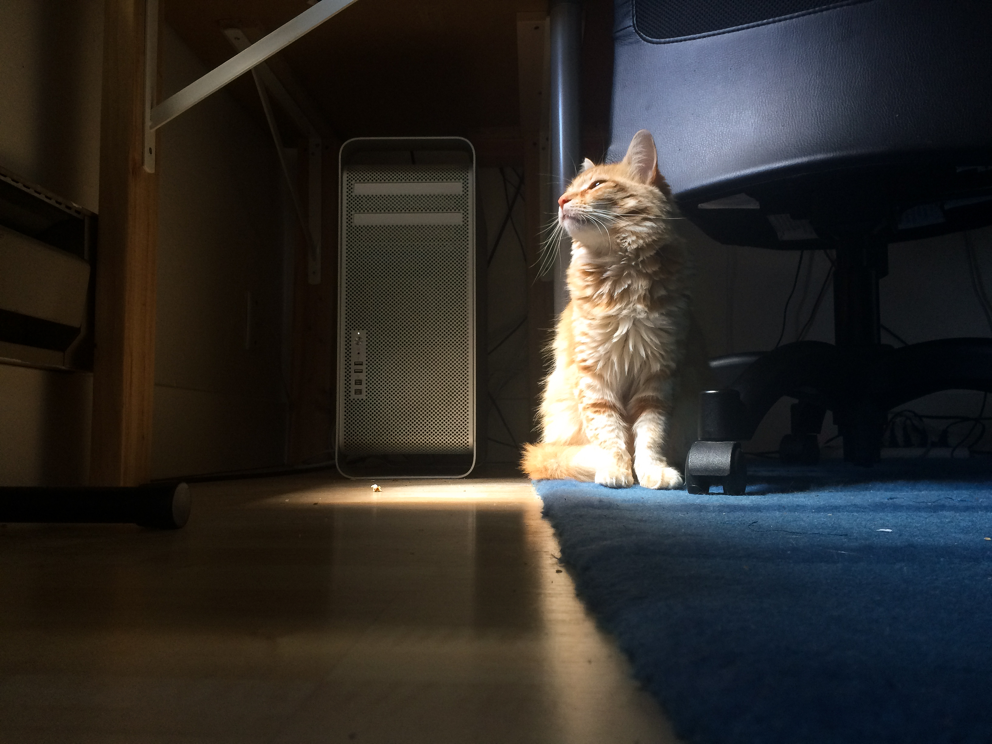 <br />06/30/2016 @ 15:04<br />Camera: iPhone 5s<br />Lens: iPhone 5s back camera 4.15mm f/2.2