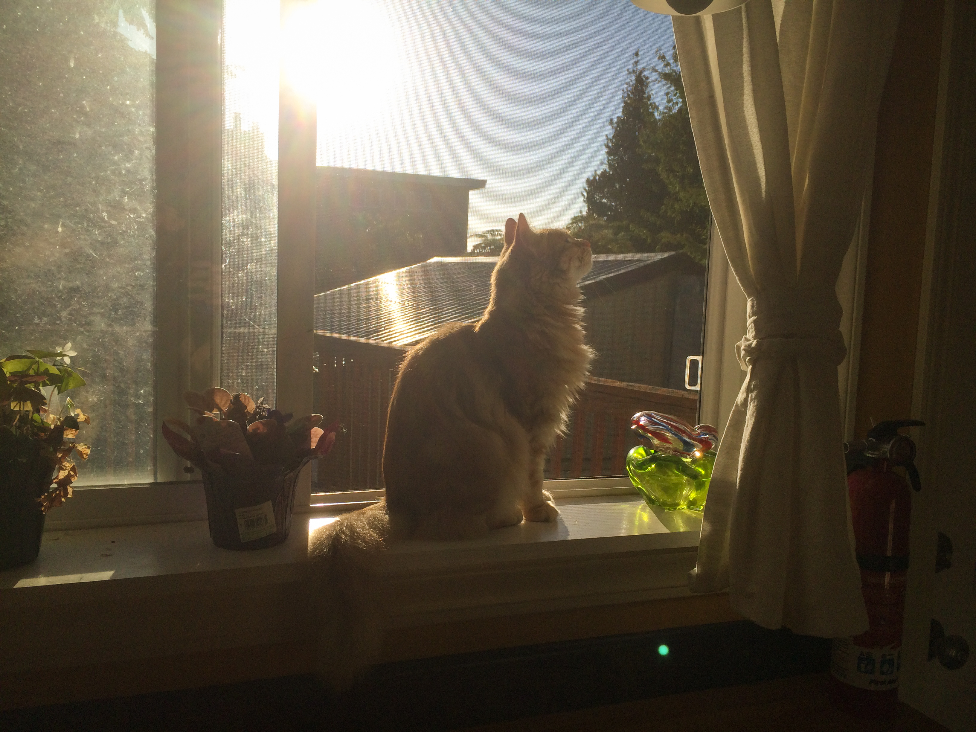 <br />08/05/2016 @ 19:07<br />Camera: iPhone 5s<br />Lens: iPhone 5s back camera 4.15mm f/2.2