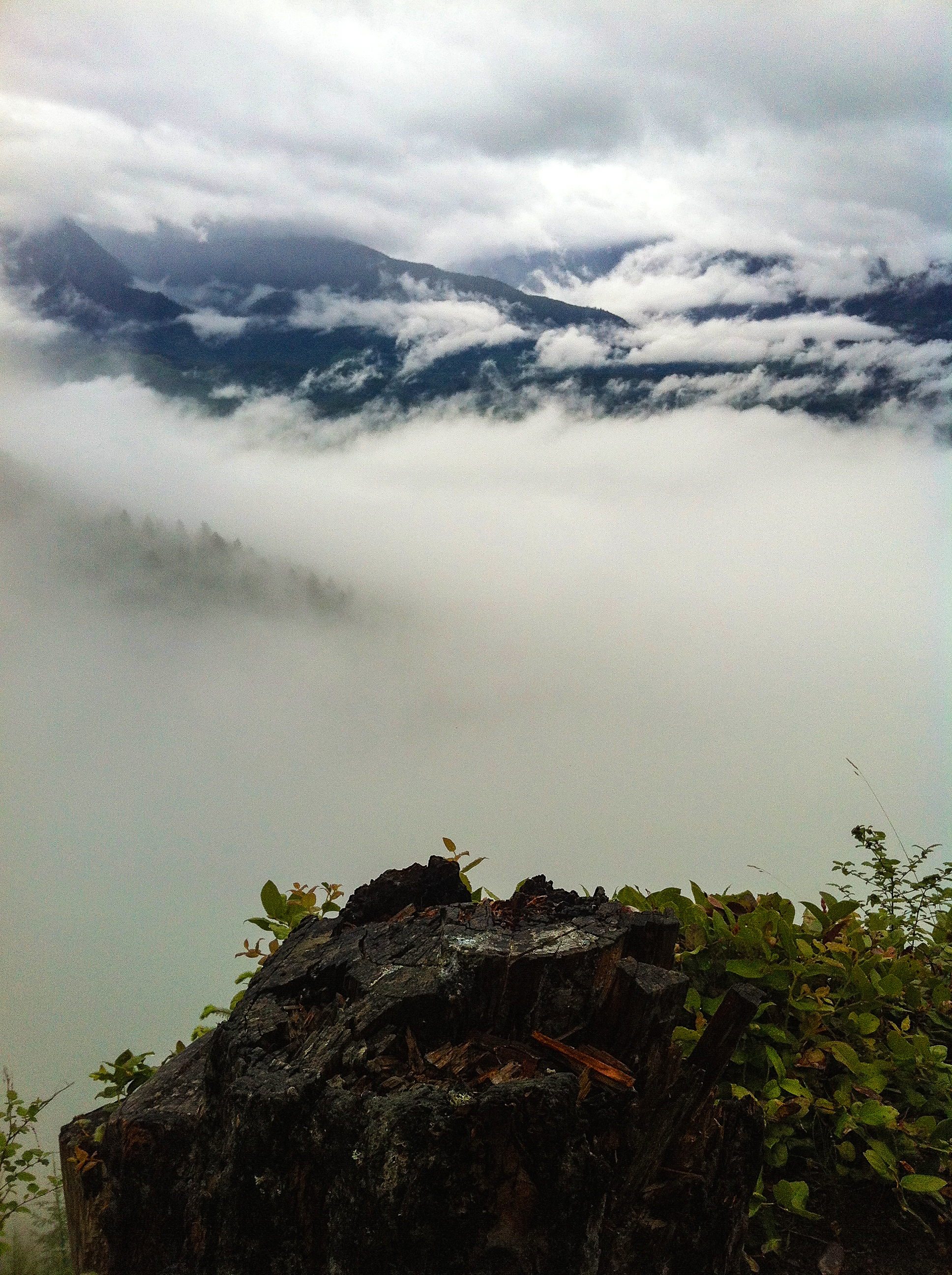 A rainy trek on a Mt. Higgins. I probably won't go back to this one as it is more for gun owners than hikers.<br />06/16/2012 @ 11:36<br />Camera: iPhone 4