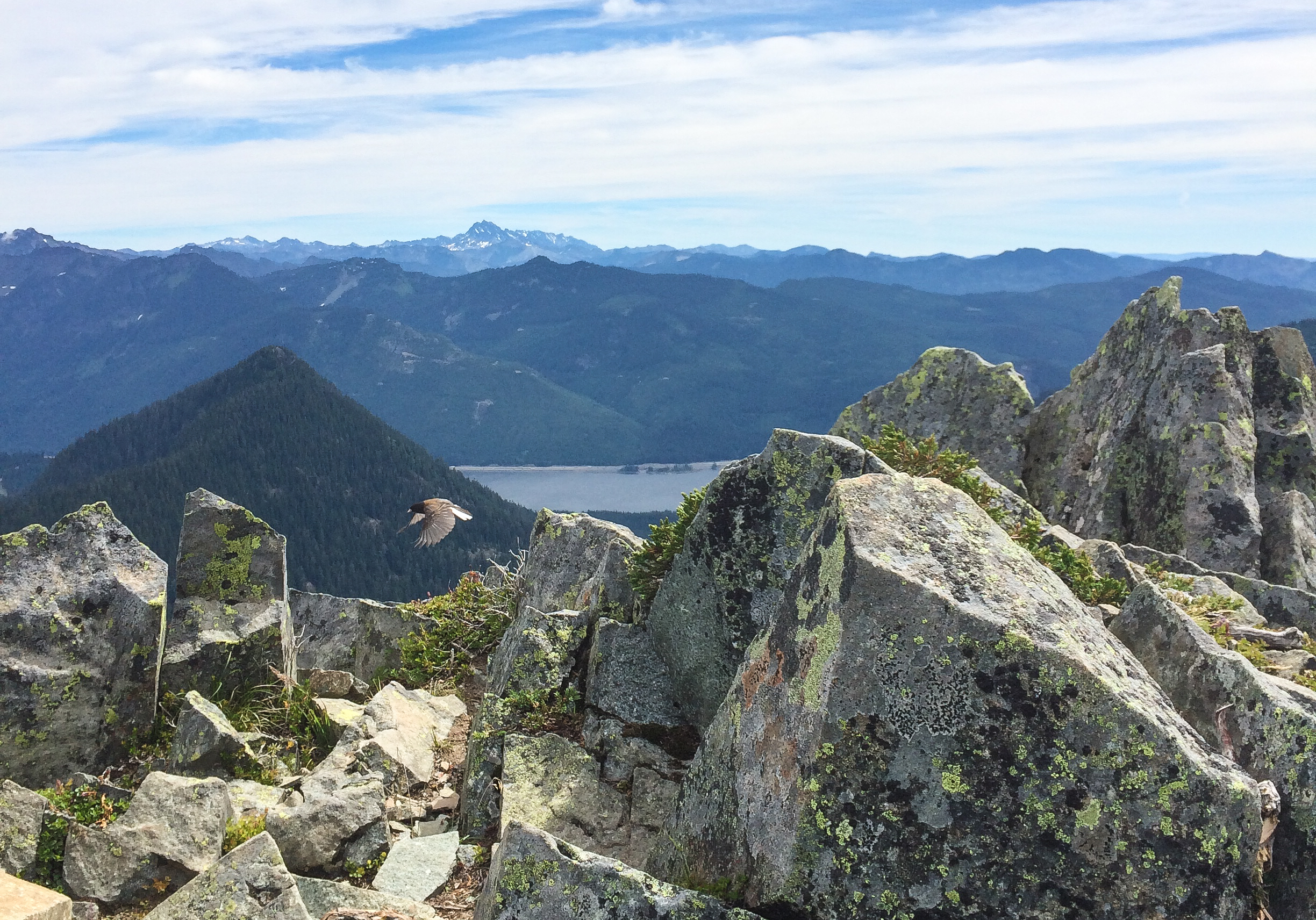 Silver Peak and a bird friend.<br />07/01/2016 @ 11:03<br />Camera: iPhone 5s<br />Lens: iPhone 5s back camera 4.15mm f/2.2