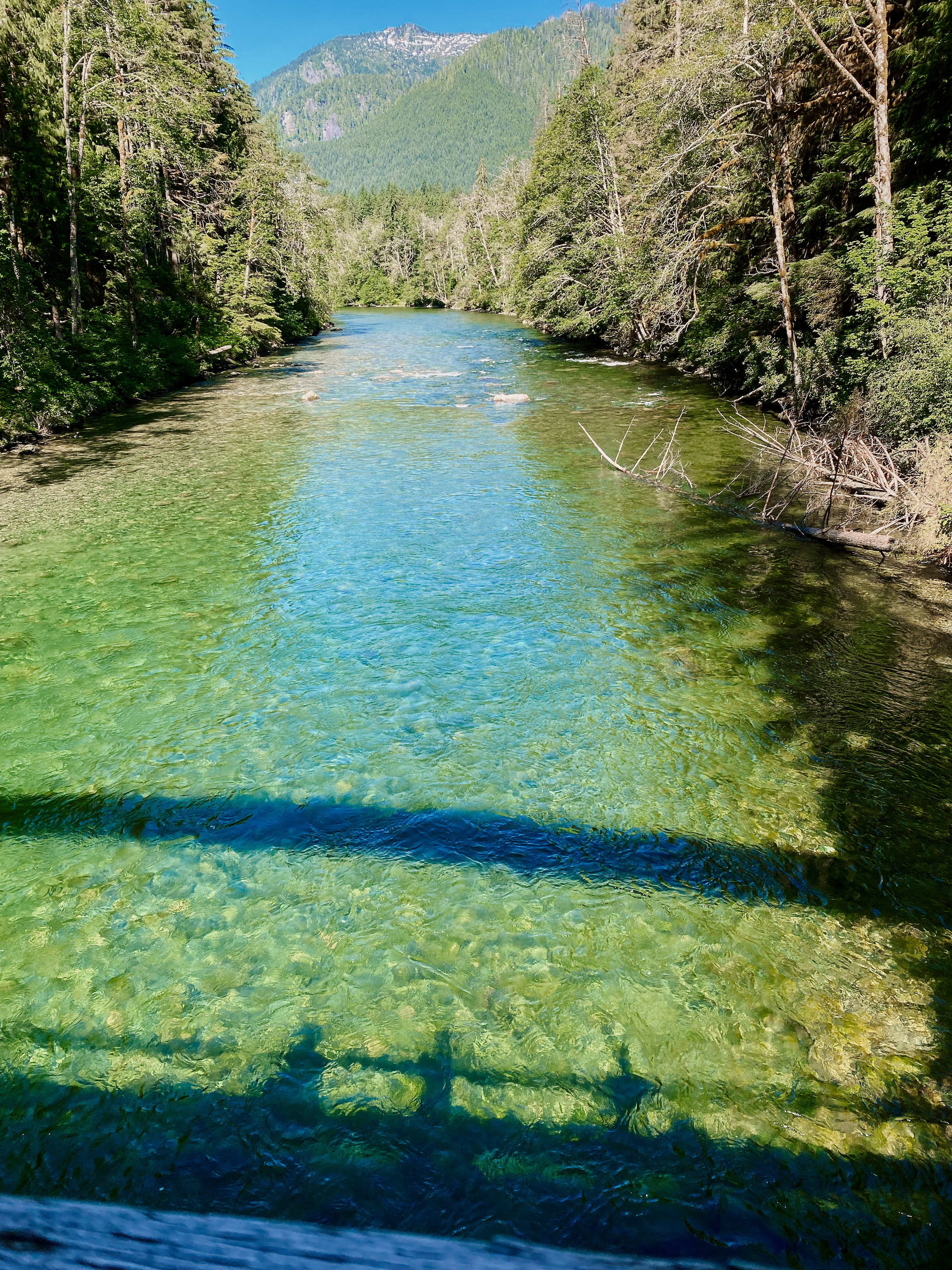 Over the river and through the woods.<br />07/11/2022 @ 09:59<br />Camera: iPhone 11 Pro<br />Lens: iPhone 11 Pro back triple camera 4.25mm f/1.8