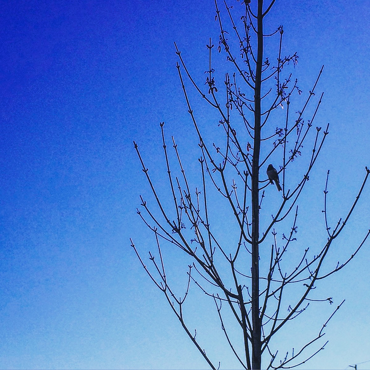 <br />04/01/2016 @ 16:09<br />Camera: iPhone 5s<br />Lens: iPhone 5s back camera 4.15mm f/2.2