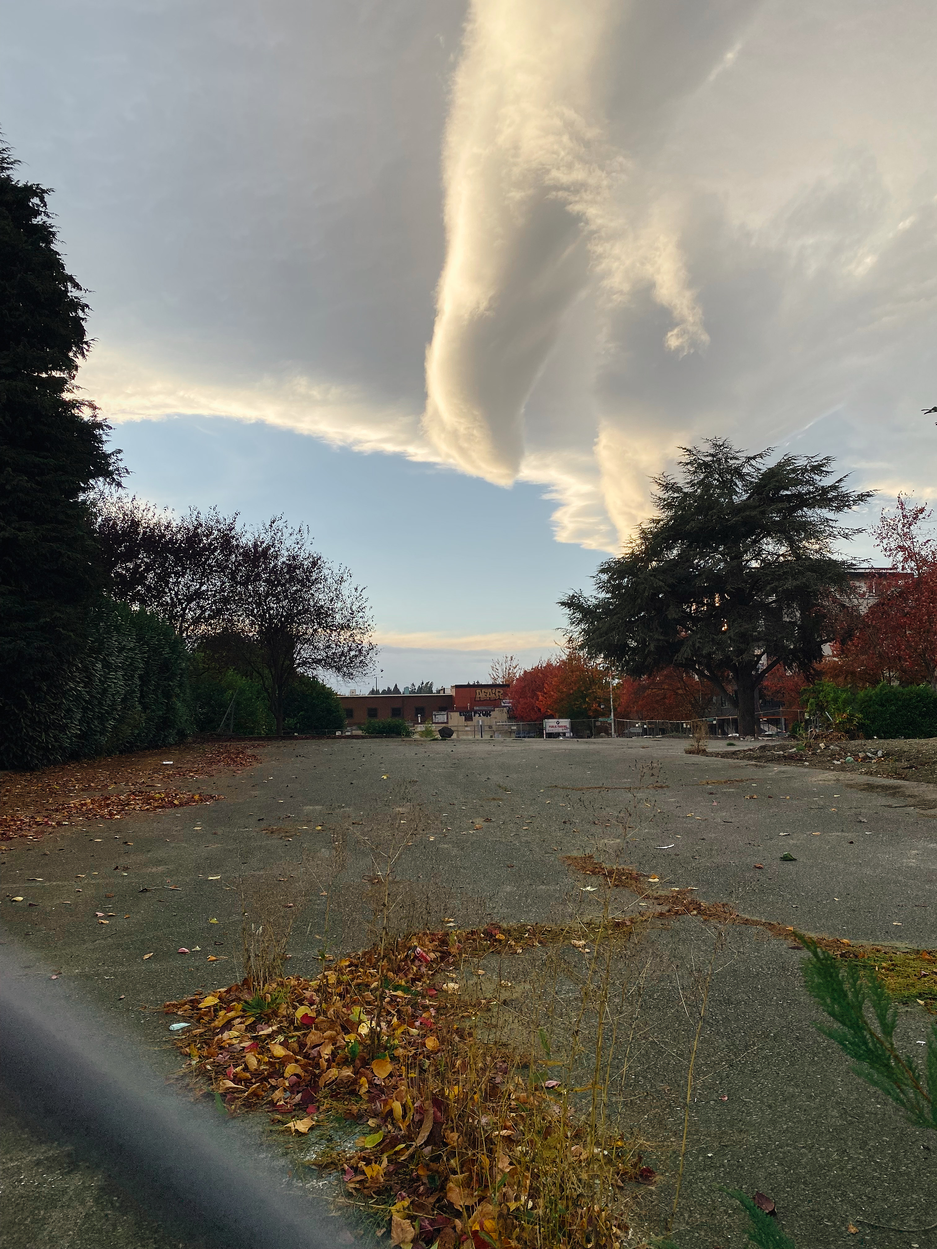 Climate change affects us all.<br />10/27/2022 @ 17:25<br />Camera: iPhone 11 Pro<br />Lens: iPhone 11 Pro back triple camera 4.25mm f/1.8