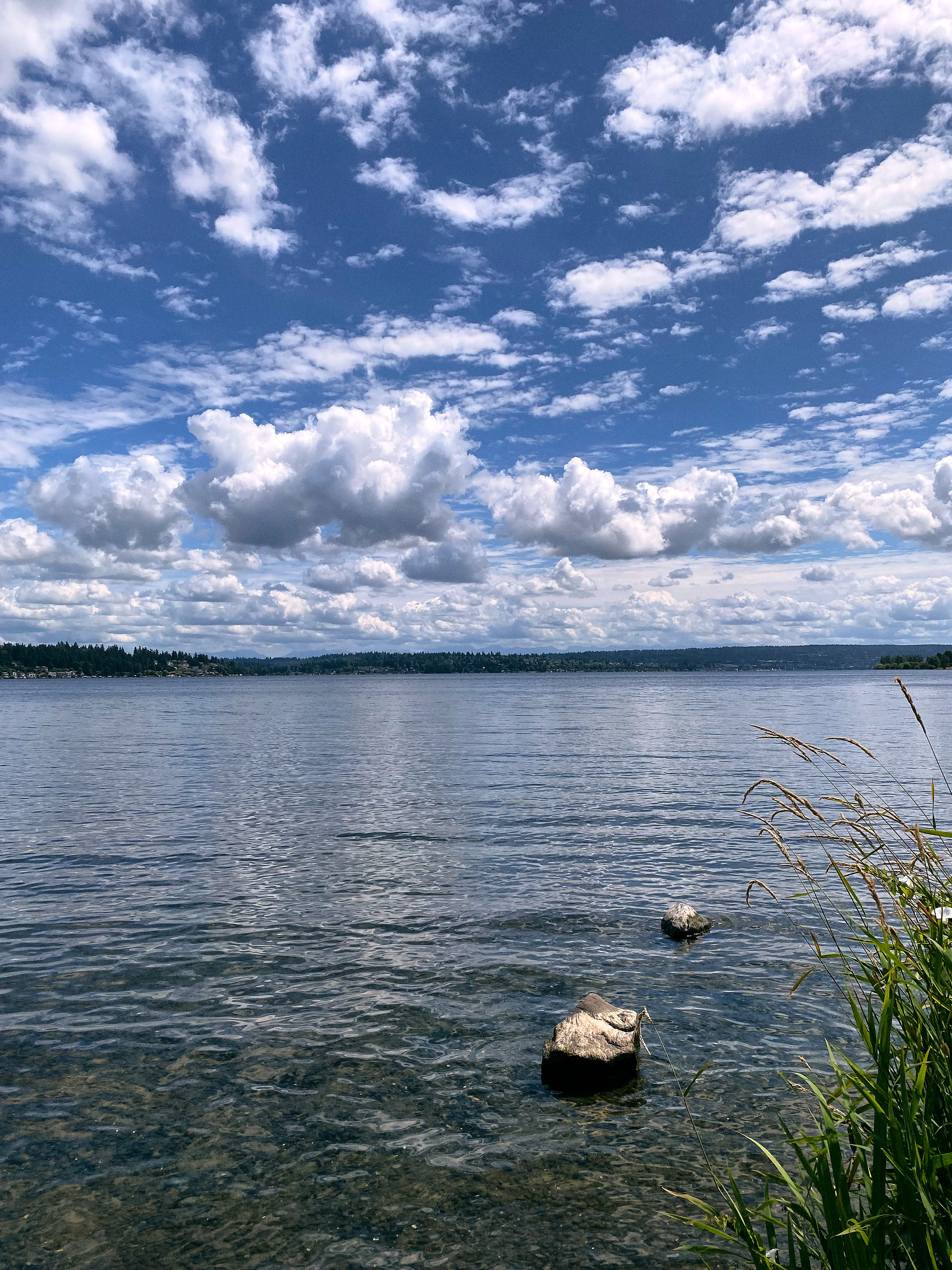 Lake Washington rest stop on a bike ride.<br />07/25/2023 @ 12:42<br />Camera: iPhone 11 Pro<br />Lens: iPhone 11 Pro back triple camera 4.25mm f/1.8
