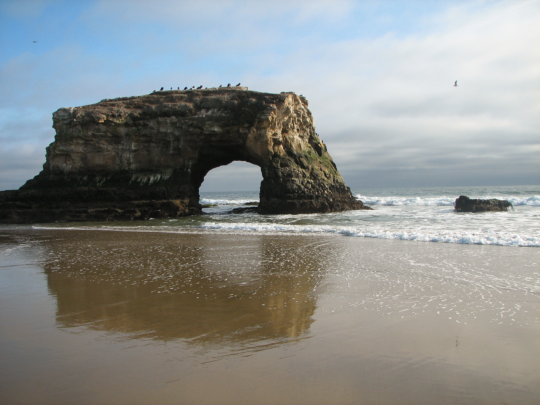 Natural Bridges State Beach, Santa Cruz, CA. 2008.<br />02/17/2008 @ 16:33<br />Camera: Canon PowerShot S2 IS<br />Lens:  6.0-72.0mm
