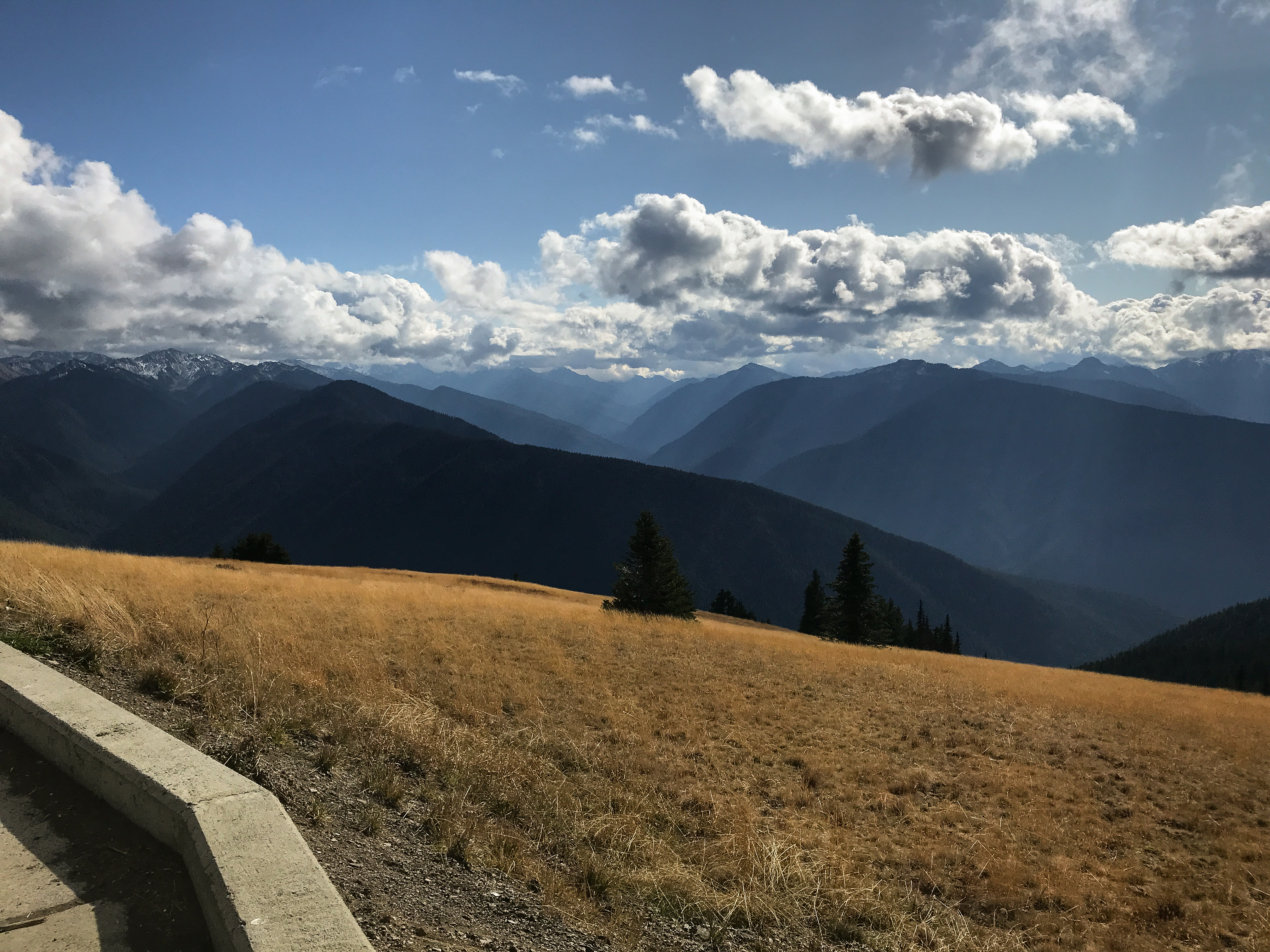 Hurricane Ridge. 2019.<br />10/13/2019 @ 14:21<br />Camera: iPhone 7<br />Lens: iPhone 7 back camera 3.99mm f/1.8