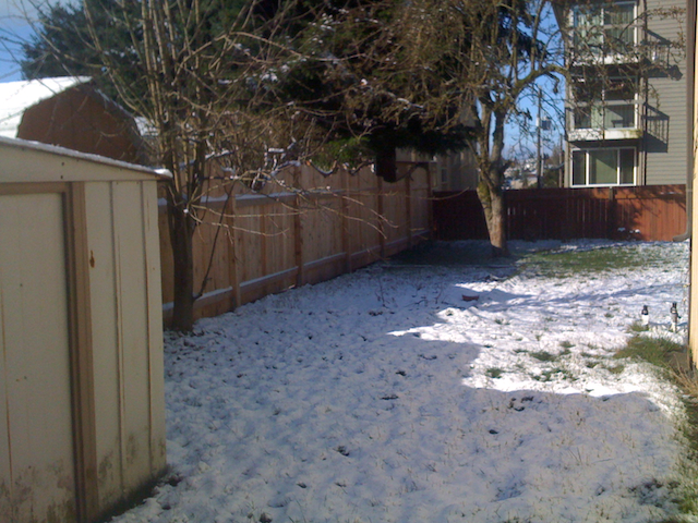 oh no, more snow